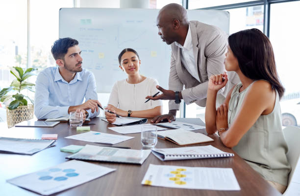 Project Executive 